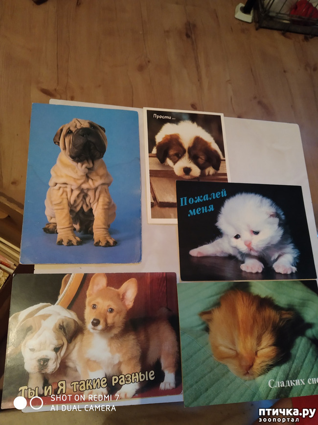 ���� 16: �������� �� ���������