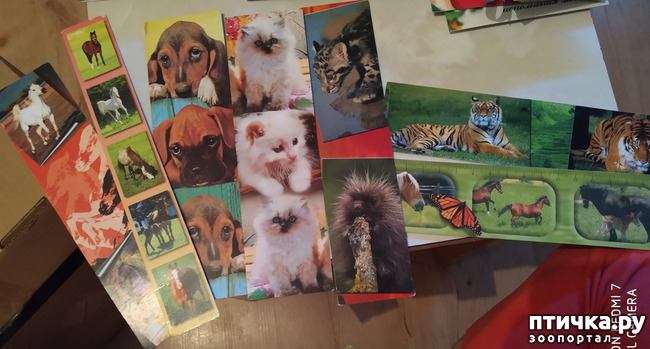 ���� 17: �������� �� ���������