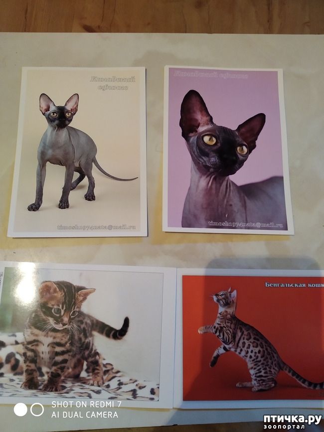 ���� 18: �������� �� ���������