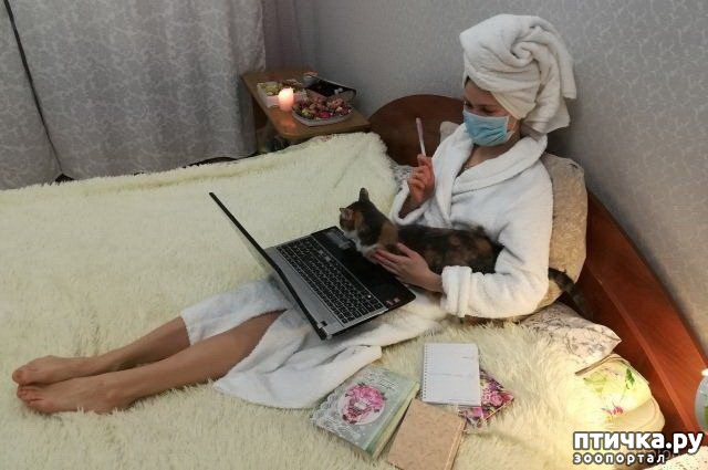 ���� 1: �� �� ����� � ����� �����������?