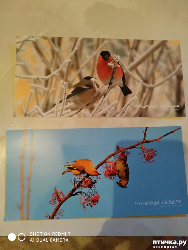 ���� 20: �������� �� ���������