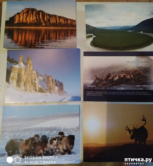 ���� 21: �������� �� ���������