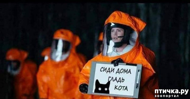 ���� 3: �� �� ����� � ����� �����������?