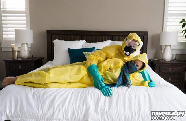 ���� 2: �� �� ����� � ����� �����������?