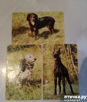 ����: �������� �� ���������