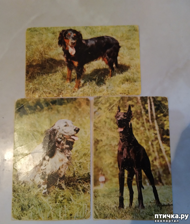 ���� 1: �������� �� ���������