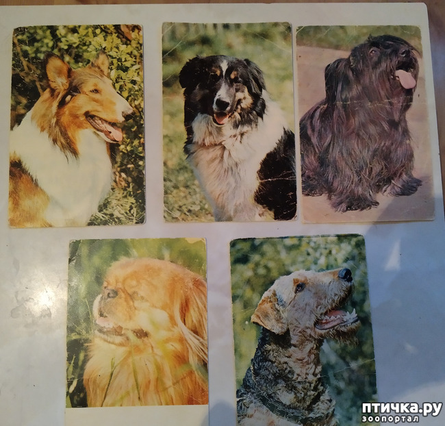 ���� 2: �������� �� ���������