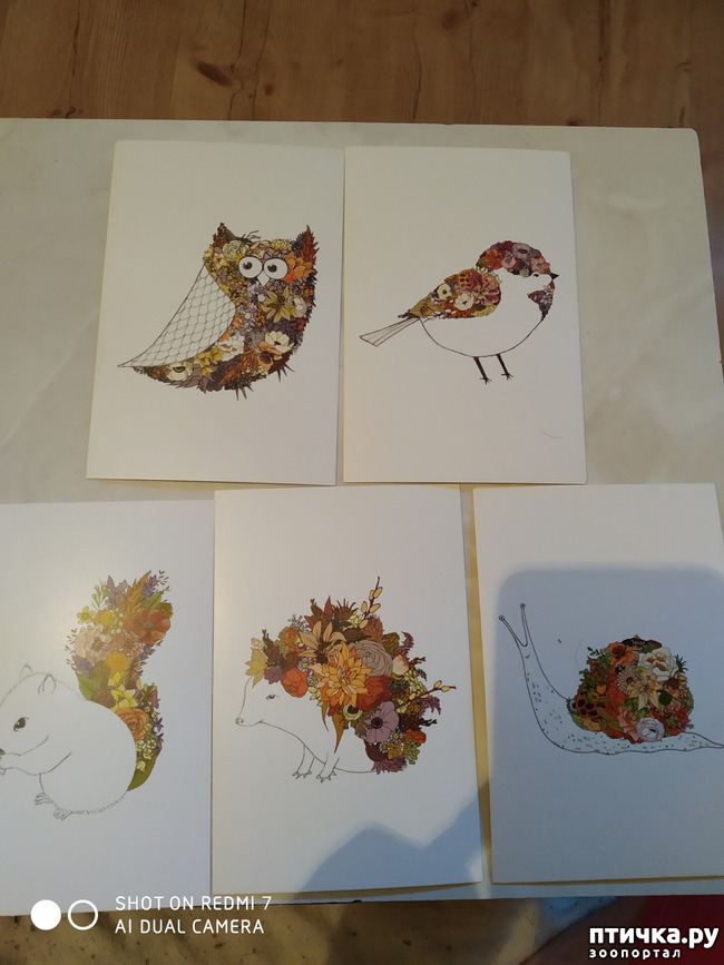 ���� 19: �������� �� ���������