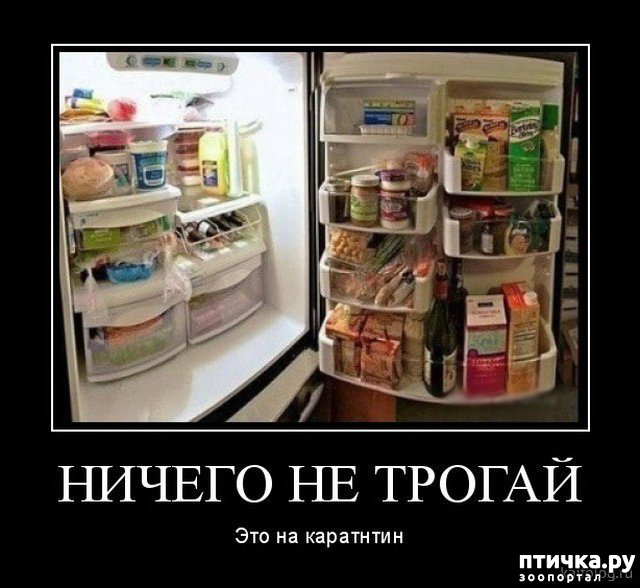 ���� 8: �� �� ����� � ����� �����������?