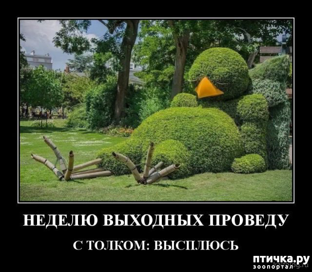 ���� 11: �� �� ����� � ����� �����������?