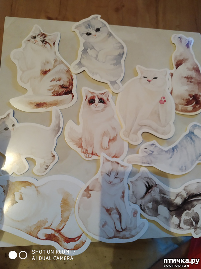 ���� 22: �������� �� ���������