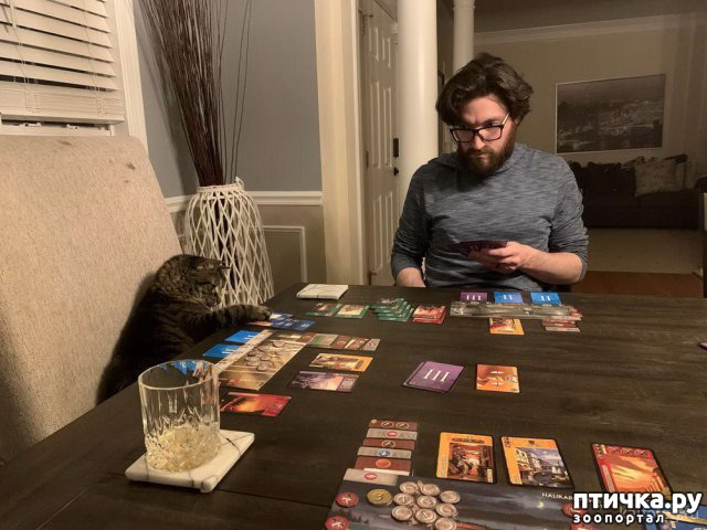 ���� 13: �� �� ����� � ����� �����������?