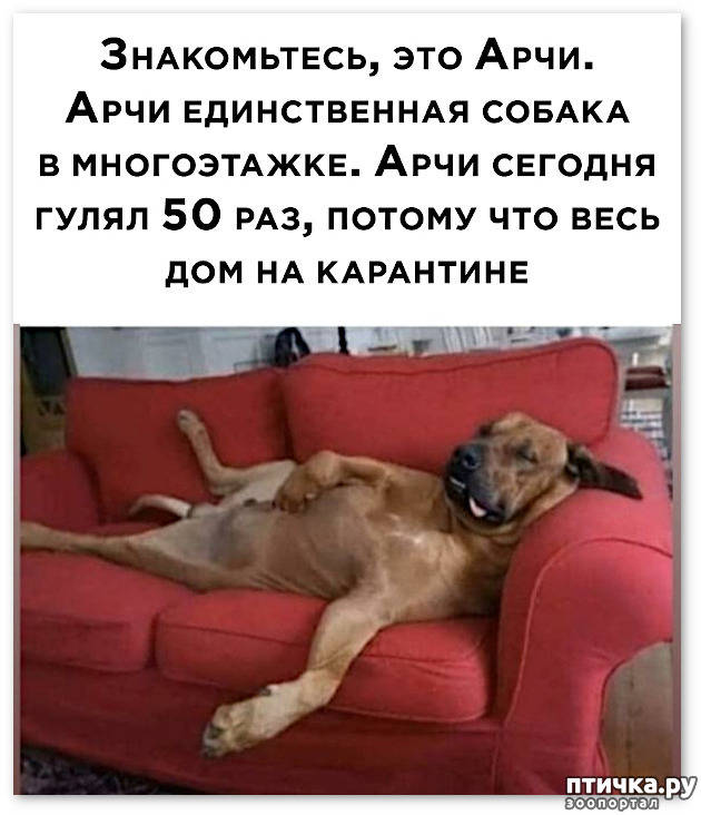 ���� 14: �� �� ����� � ����� �����������?