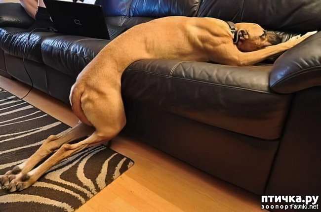 ���� 15: �� �� ����� � ����� �����������?