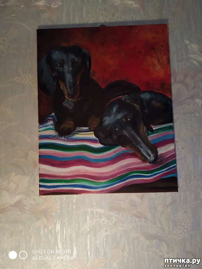 ���� 24: �������� �� ���������