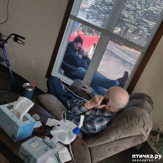 ���� 17: �� �� ����� � ����� �����������?