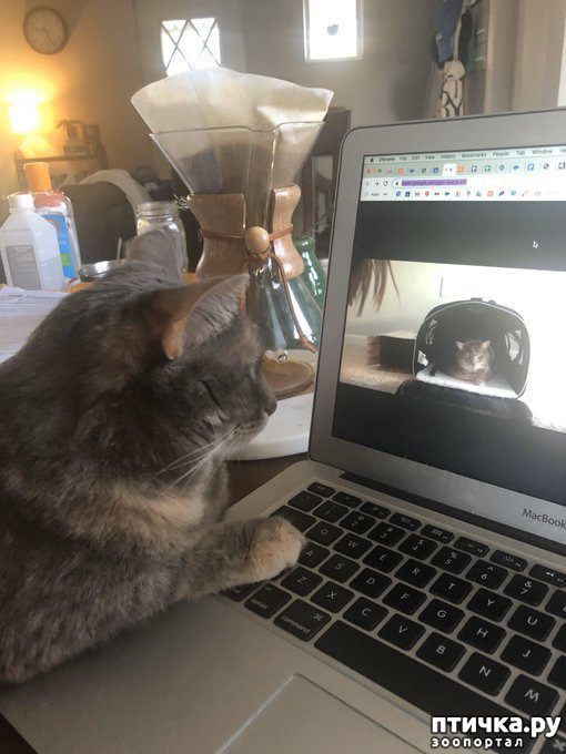 ���� 18: �� �� ����� � ����� �����������?