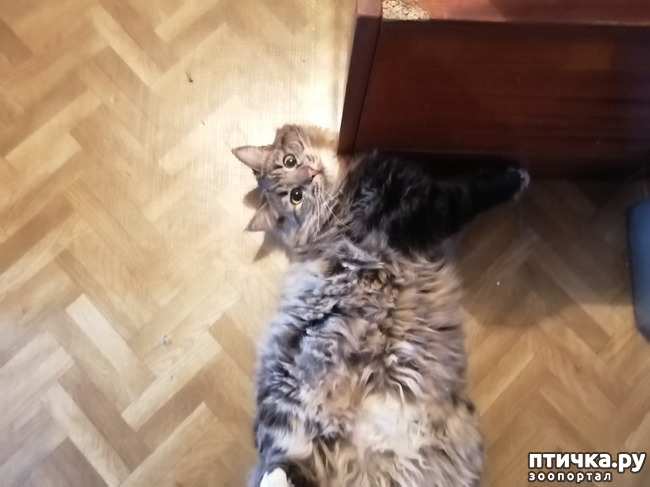 ���� 18: ������� ���������.