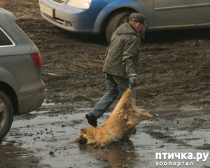 ����: ������� -˨� ��������!