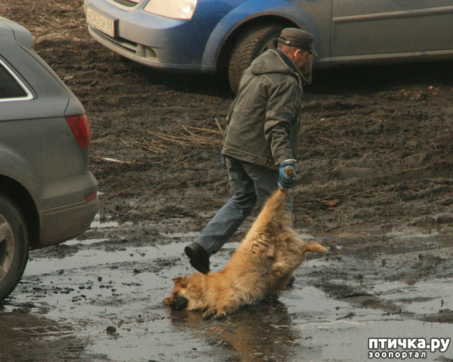 ���� 1: ������� -˨� ��������!