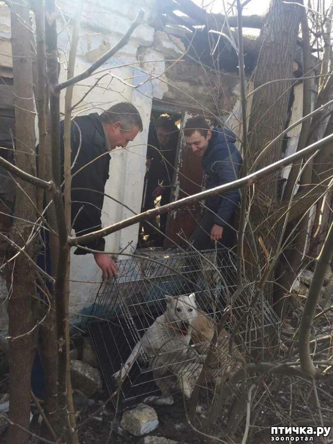 ���� 2: ������� -˨� ��������!