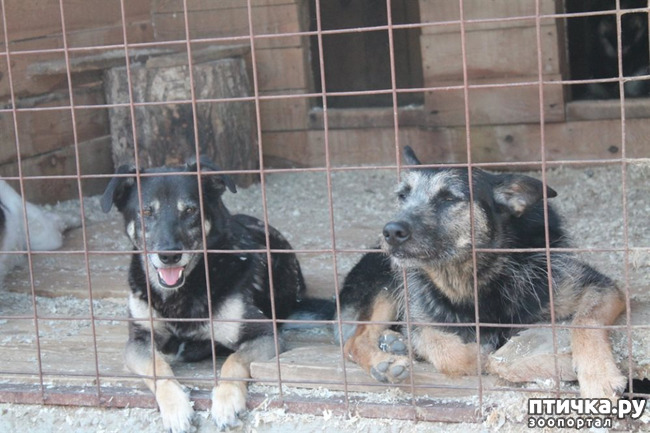 ���� 3: ������� -˨� ��������!