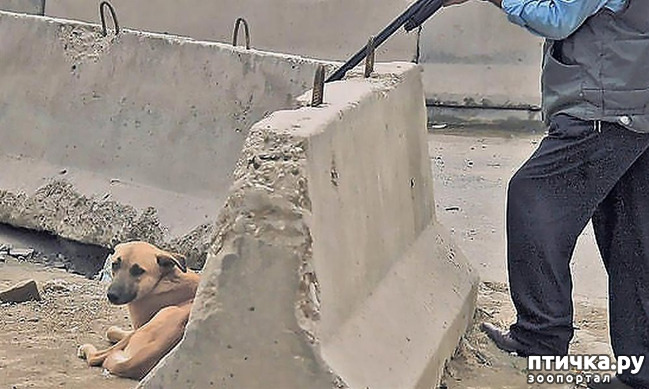 ���� 4: ������� -˨� ��������!