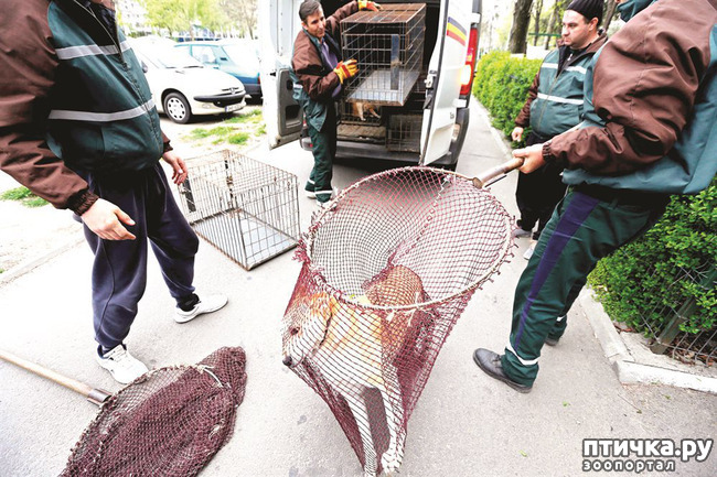 ���� 5: ������� -˨� ��������!