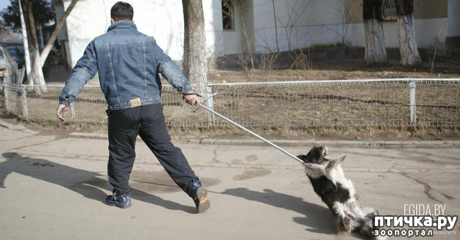 ���� 6: ������� -˨� ��������!