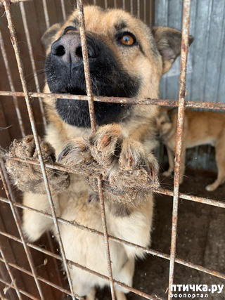 ���� 8: ������� -˨� ��������!