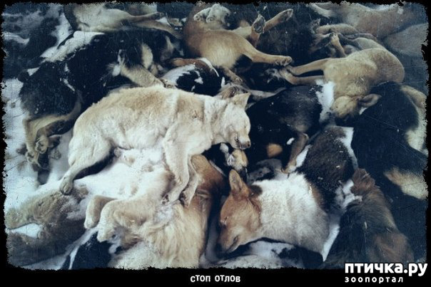 ���� 9: ������� -˨� ��������!