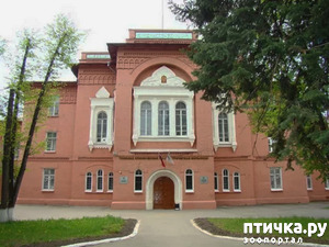 ����: ����������� ����