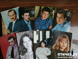 ����: ������� ���������.