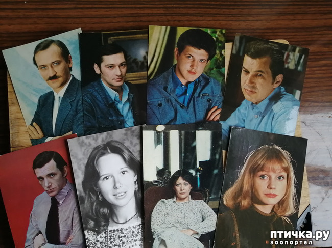 ���� 1: ������� ���������.