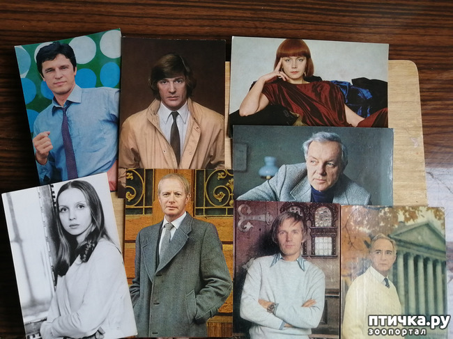 ���� 2: ������� ���������.