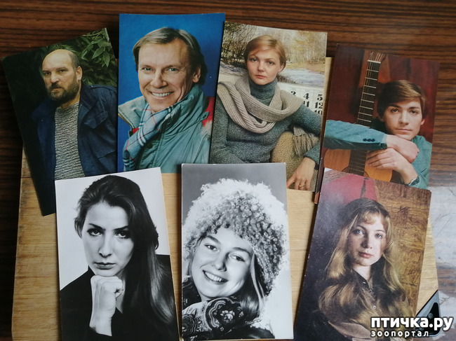 ���� 3: ������� ���������.