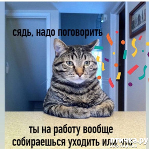 ����: ��������