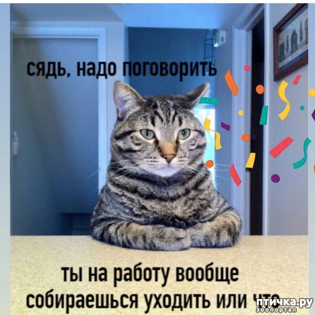 ���� 1: ��������