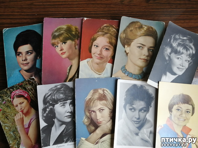 ���� 4: ������� ���������.