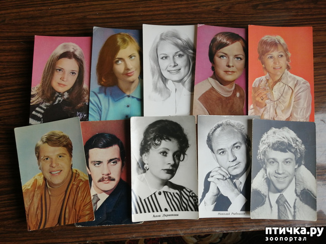 ���� 5: ������� ���������.