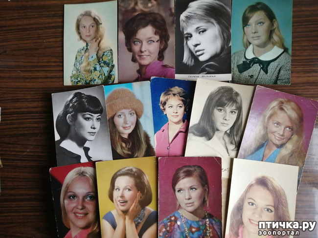 ���� 6: ������� ���������.