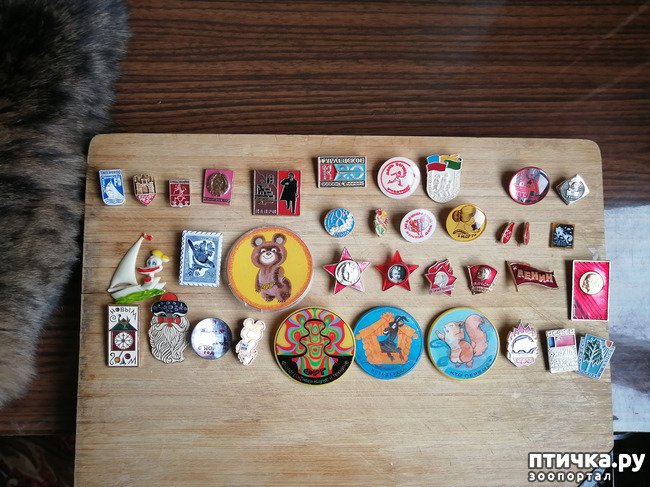 ���� 7: ������� ���������.