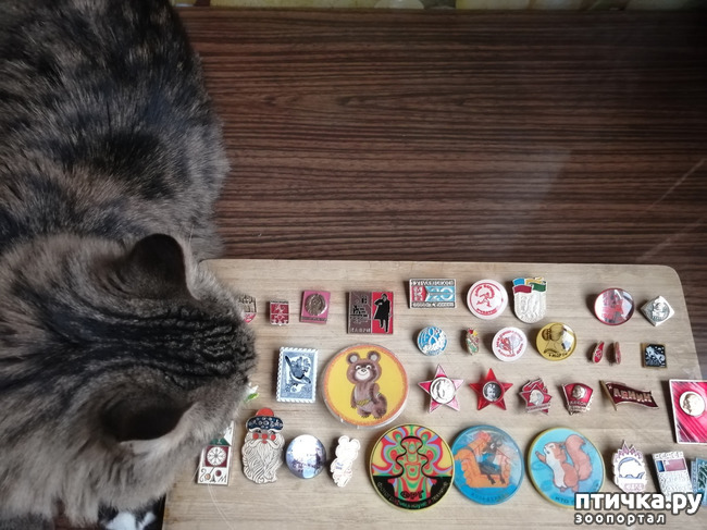 ���� 8: ������� ���������.