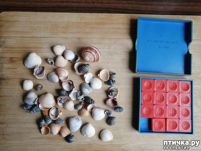 ���� 9: ������� ���������.