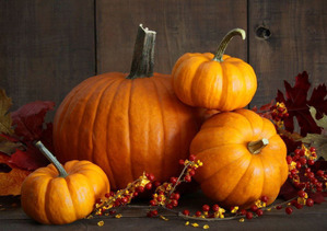 ����: ���������-�� ���� �������� ���������� �����