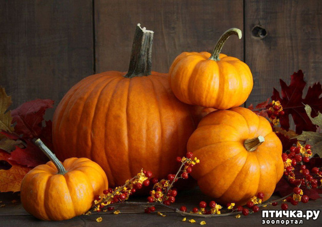 ���� 1: ���������-�� ���� �������� ���������� �����