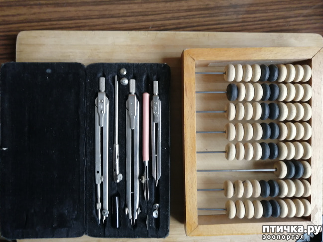 ���� 10: ������� ���������.