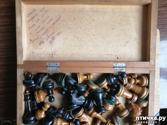 ���� 11: ������� ���������.