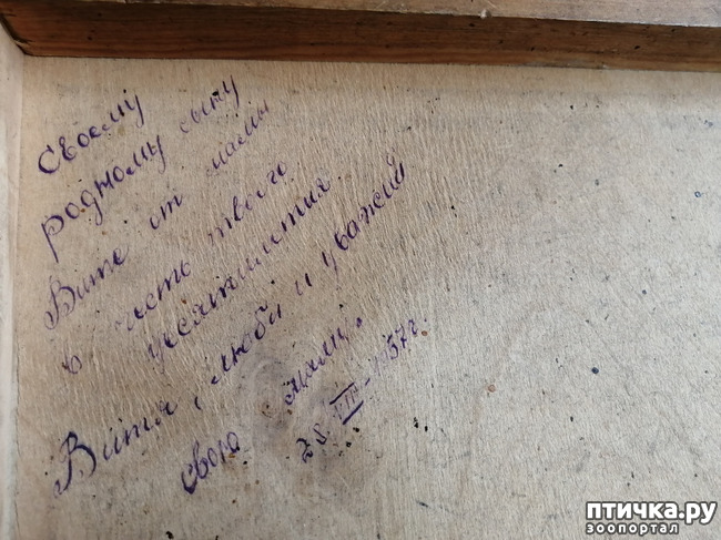 ���� 12: ������� ���������.