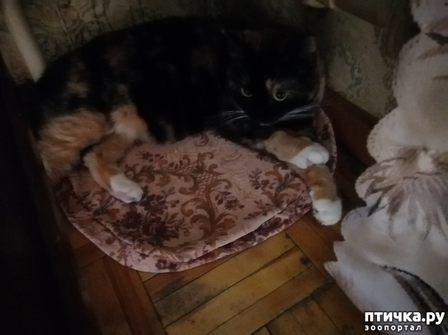 ���� 13: ������� ���������.